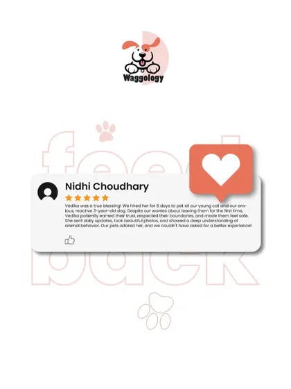 Your peace of mind is as important as your pet's comfort. I was so happy to receive this feedback, as it highlights my dedication to understanding each pet's unique needs, especially anxious ones. I provide daily updates with photos so you can see for yourself how your furry family is doing.