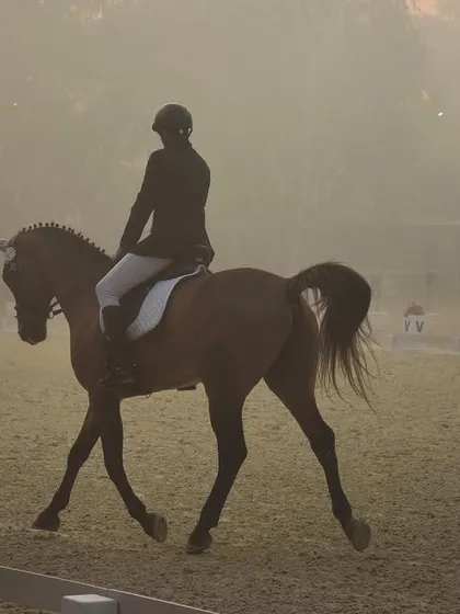 A throwback to the FEI World Dressage Challenge, showing a rider and horse in a moment of quiet grace. The misty morning adds to the elegance of the dressage discipline.