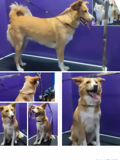 This handsome Indie is asking if he looks smart. The answer is a definite yes.