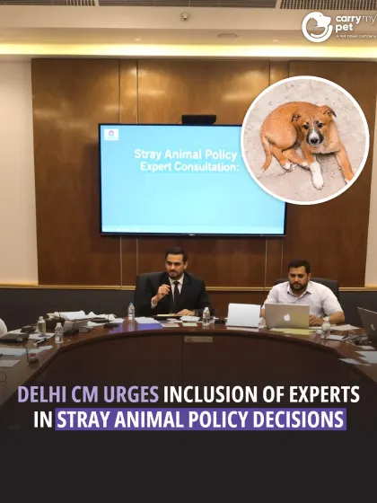 The Delhi Chief Minister has urged for the inclusion of domain experts in creating stray animal policies. This recognizes that sustainable solutions must be rooted in expert knowledge and compassion.