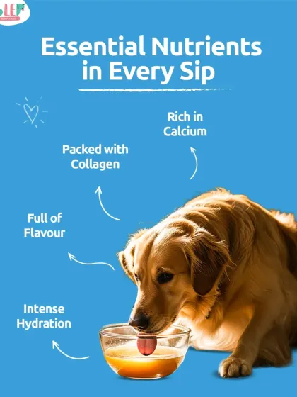 Every sip of our bone broth is packed with essential nutrients. It delivers intense hydration, is full of natural flavor, and is packed with collagen and calcium to support your pet's joints and mobility.