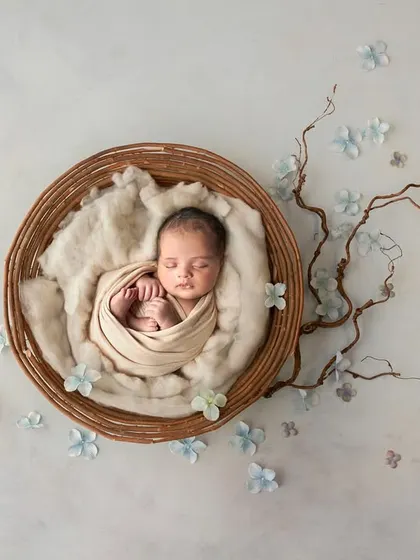 A beautiful composite image showing a baby nestled in a basket with delicate branches. This artistic approach creates a unique and memorable portrait.