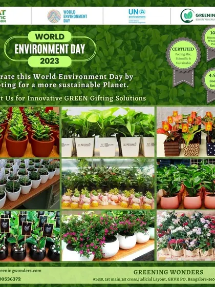 For World Environment Day 2023, we offered a wide range of innovative green gifting solutions. This collage shows the variety of plants we prepared for bulk orders, from colorful flowering plants to sturdy green foliage.