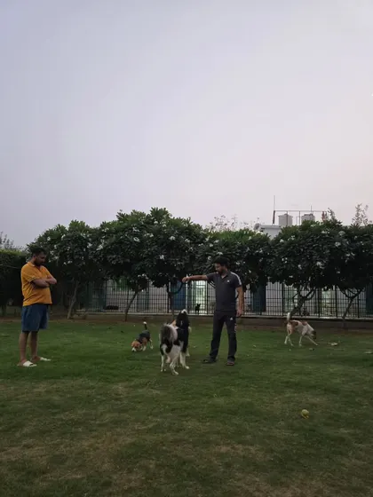 The "Gang of PLH" hanging out with our staff. This is a typical evening scene, with everyone enjoying the cool air.