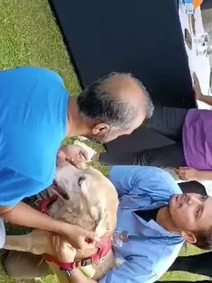 A free health check-up in progress at our pet brunch. We partnered with vets to ensure a fun and safe day for everyone.