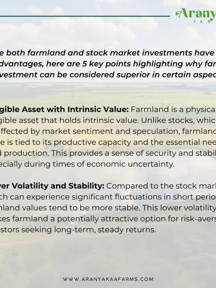 This infographic details why farmland can be a superior investment to the stock market. It highlights the benefits of owning a tangible asset with intrinsic value and experiencing lower volatility, providing security during economic uncertainty.