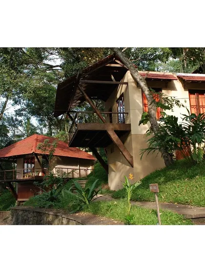 We integrated existing trees into the design, building balconies and structures around them to create homes that are truly one with nature.