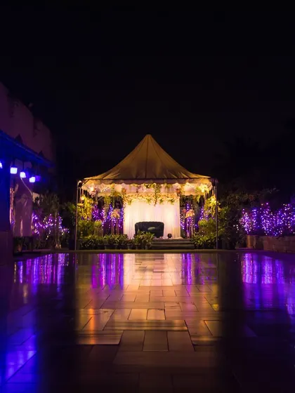A stunning nighttime view of the Terrace Garden, with the stage and surrounding bushes illuminated in dramatic purple light.