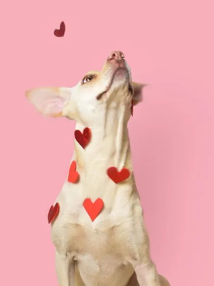 Trying to catch a falling heart! These playful, candid moments are what make themed photoshoots so special and fun for everyone involved.