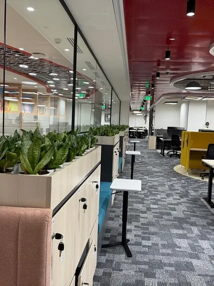 A view of the Prudential office workspace, where rows of Snake Plants are integrated into the tops of storage units. This functional design choice improves air quality while adding a layer of natural texture to the office landscape.
