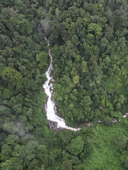 A hidden gem captured from above. This aerial shot shows a waterfall snaking its way through the dense, untouched forest of the Western Ghats.