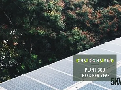 A 5kW solar installation has the environmental benefit of planting 300 trees per year. It's a meaningful step towards reducing your carbon footprint.