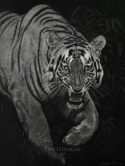 This is 'Shambhu', a Bengal tiger from Tadoba, captured in a moment of intense focus. I used sharp, detailed strokes to render its fierce gaze and striped coat, embodying the untamed spirit of this national symbol.