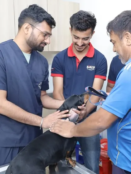 A Doberman receives a checkup from our veterinary team at the Jalandhar launch. This shows our commitment to providing immediate, high-quality care in our new communities.