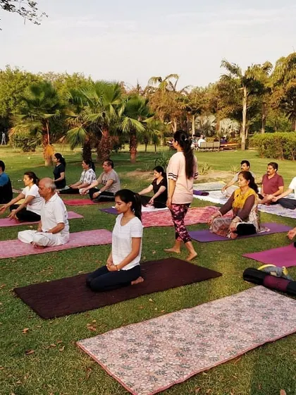 An early morning outdoor yoga session in a lush green park. Practicing pranayama and asanas in the open air is a refreshing way to start the day and connect with the community.