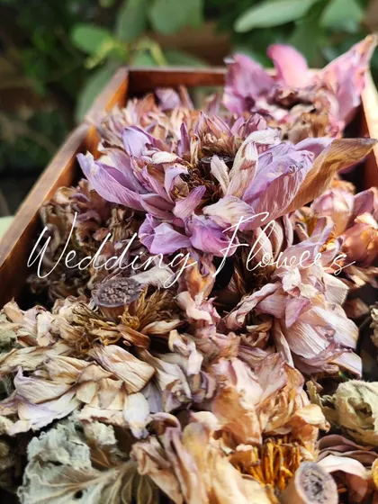 The process begins with carefully drying the beautiful wedding flowers, in this case, a fresh lotus mala, to prepare them for preservation.