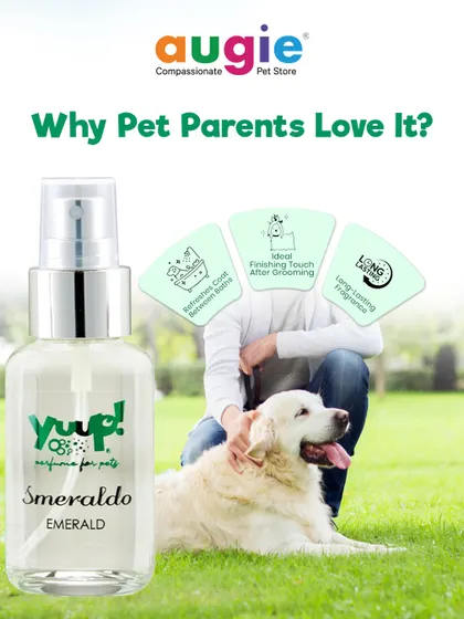 Why do pet parents love this perfume? It refreshes the coat between baths, serves as an ideal finishing touch after grooming, and provides a long-lasting, pleasant fragrance.