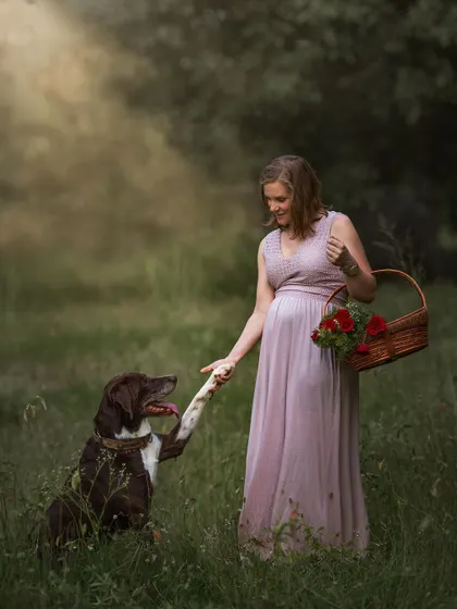 A charming and playful outdoor scene where an expecting mother and her dog share a "handshake." It’s a lighthearted moment that perfectly captures their sweet bond.
