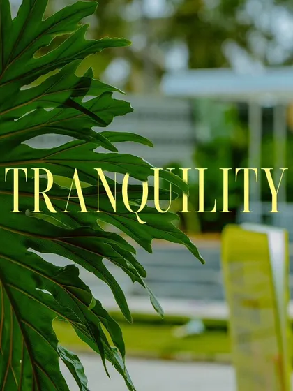 Tranquility can be found in the details, like the pattern of a leaf against the blurred background of our garden.