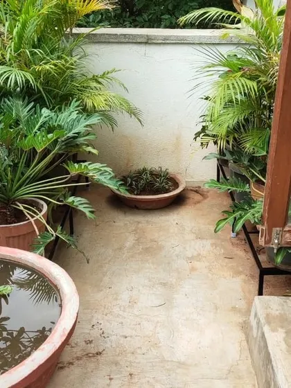 This narrow garden space is made more lush and accessible with our metal stands, which lift the pots off the ground and create a sense of depth.