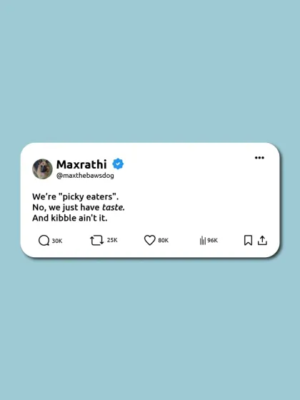 It's not being a "picky eater." It's called having taste. And kibble just ain't it.