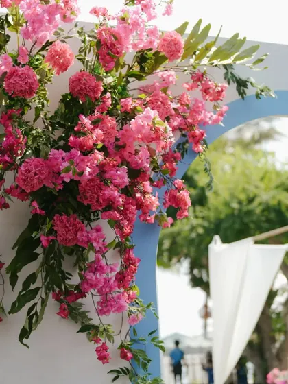 A stunning floral arrangement of pink bougainvillea on a white arch, creating a vibrant entrance for a Santorini-themed Mehendi.