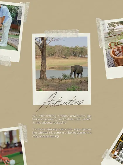 This collage of "Postcards from Nature" captures the essence of our resort: wildlife sightings, outdoor activities, and serene relaxation spots.