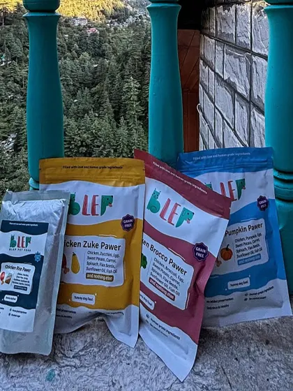 Our variety of flavors against a beautiful mountain backdrop in Jibhi. Traveling with pets doesn't mean you have to resort to kibble.