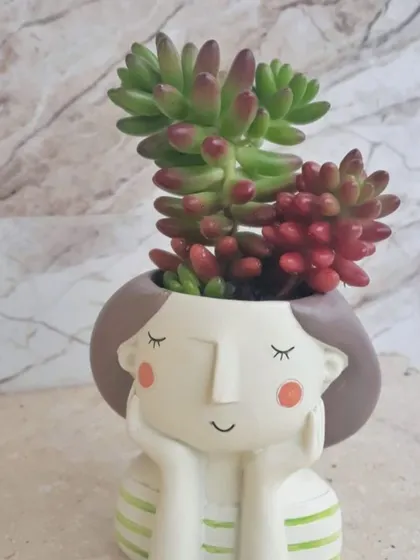 This adorable girl planter with a dreamy expression is a customer favorite for housing colorful Jelly Bean succulents.