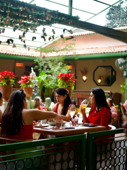 This is the heart of it all: people coming together. A snapshot from a Christmas lunch, filled with laughter, good food, and festive cheer in our courtyard. I design these moments for you to connect and celebrate.