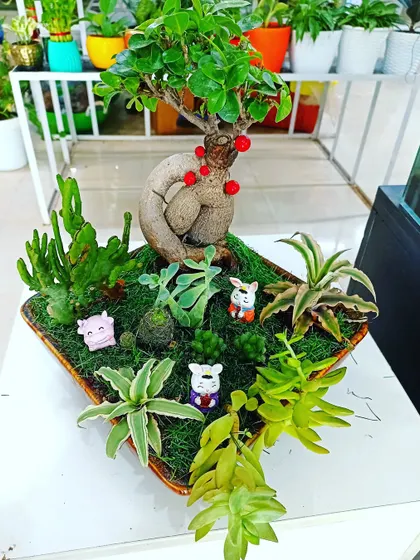 We show the miniature bonsai and succulent garden in a shallow tray, with small figures arranged around the central tree.