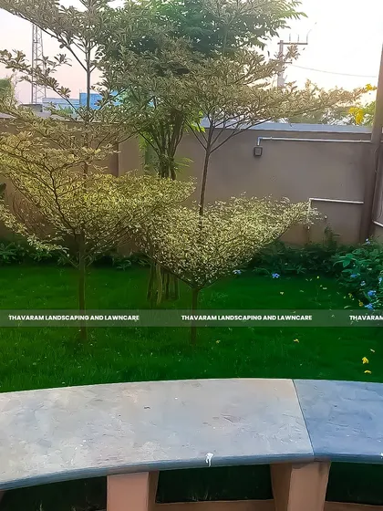 After: The same corner is now a charming garden nook. A healthy lawn, variegated trees, and a border of blue flowers have completely transformed it into a pleasant, green view.