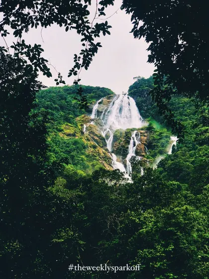 A beautifully framed shot of Dudhsagar falls through the trees. It is a view that truly captures the feeling of discovering a hidden wonder.