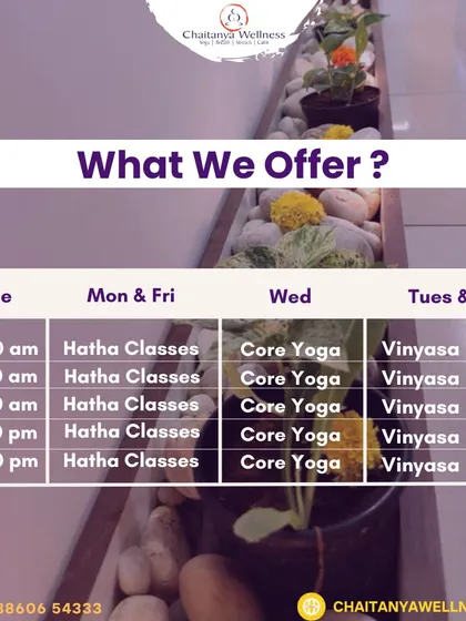Here's what we offer. This schedule shows our weekly Hatha, Core Yoga, and Vinyasa Flow classes available at our Bangalore studios.