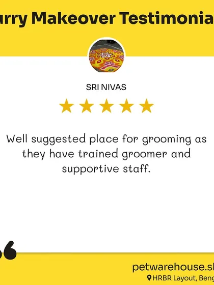 Sri Nivas recommends our HRBR Layout store for our trained groomers and supportive staff. This is the standard of service we strive for across all our locations.