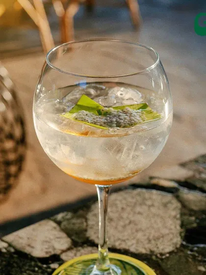 A signature gin and tonic, served in a balloon glass with chia seeds for a unique texture.