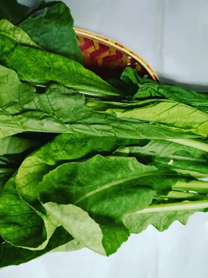 A bundle of freshly harvested leafy greens, ready for the weekend. This is an example of the produce we supply directly to local kitchens.