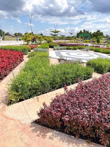 The geometric planting beds at 'The Sanctuary' use contrasting colors of red and green foliage to create a formal, patterned garden that is visually striking.