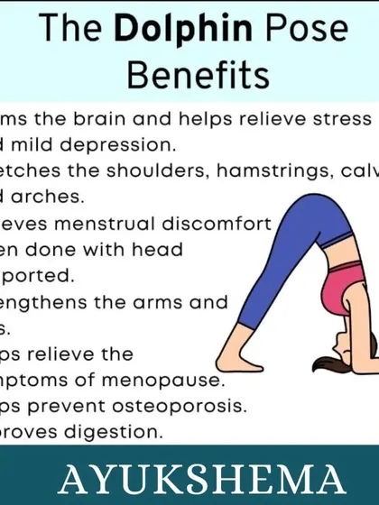 Learn the benefits of Dolphin Pose, an excellent asana for calming the brain, stretching the shoulders and hamstrings, and strengthening the arms and legs.