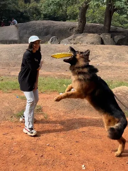 Look at that drive. Working with Hustler the GSD was a blast. Using a dog's natural play drive is one of the most effective ways to train and build a strong, positive relationship.