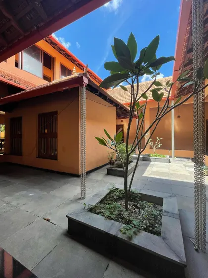 A young tree planted in the central courtyard, destined to grow with the family and become the living heart of the home.