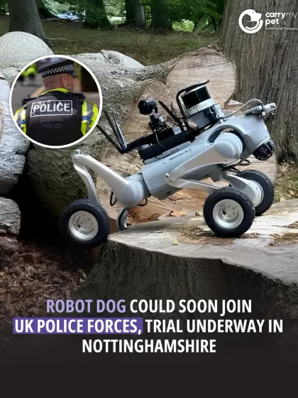 Part of our weekly news roundup, this story highlights a trial in Nottinghamshire, UK, where a robot dog could soon join police forces for high-risk situations.