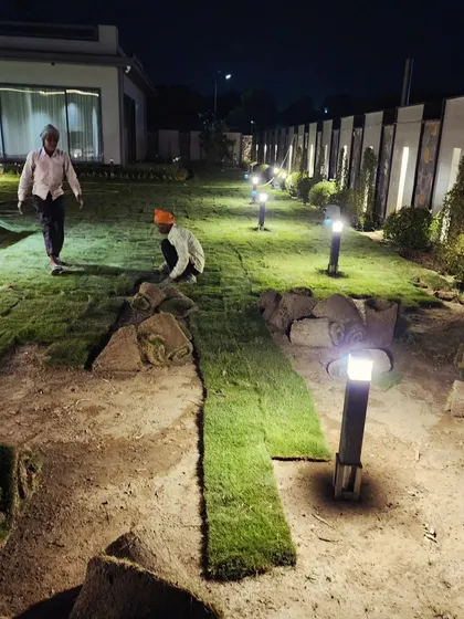 Our team meticulously lays down fresh rolls of natural grass turf at night to ensure the best results, transforming a bare patch into a lush lawn by morning.