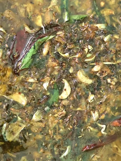 A flavorful curry being prepared, showing the fresh ingredients and aromatic spices we use.
