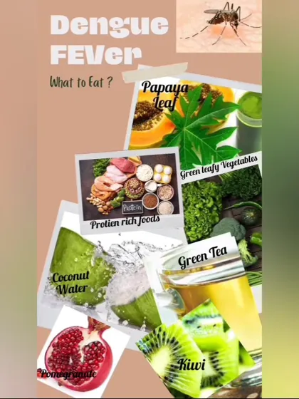 During a bout of dengue fever, nutrition is key to recovery. This graphic shows what to eat to help raise your platelet count, including papaya leaf, protein rich foods, coconut water, and kiwi.