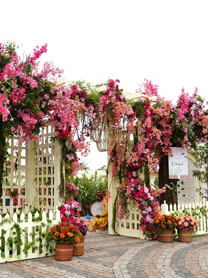 A beautiful white picket fence entrance adorned with pink bougainvillea. This design creates a charming and welcoming entryway for a garden-themed event.