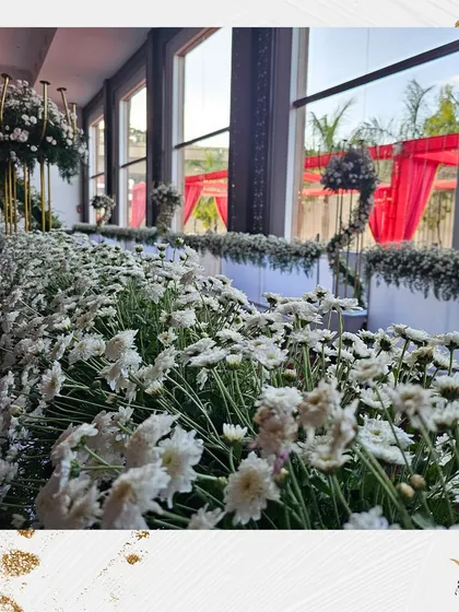 A long table lined with a dense arrangement of fresh white chrysanthemums. This creates a stunning and fragrant runner for a dining setup or buffet line.