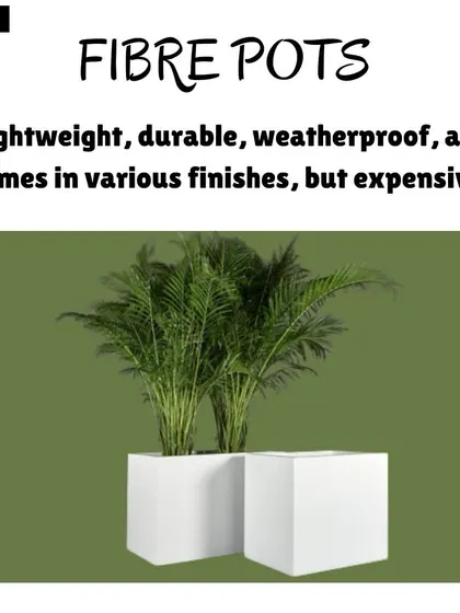 Fibre pots are a lightweight and durable alternative. They are weatherproof and come in various modern finishes, making them a great long-term investment for larger plants.