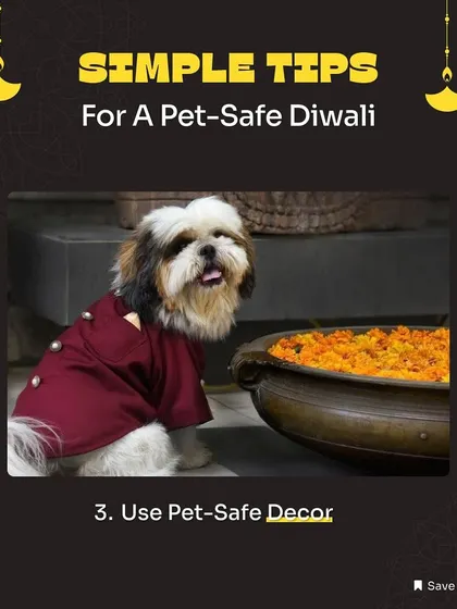 When decorating for festivals like Diwali, always use pet-safe decor. Keep diyas, candles, and electrical wires out of your pet's reach to prevent accidents.