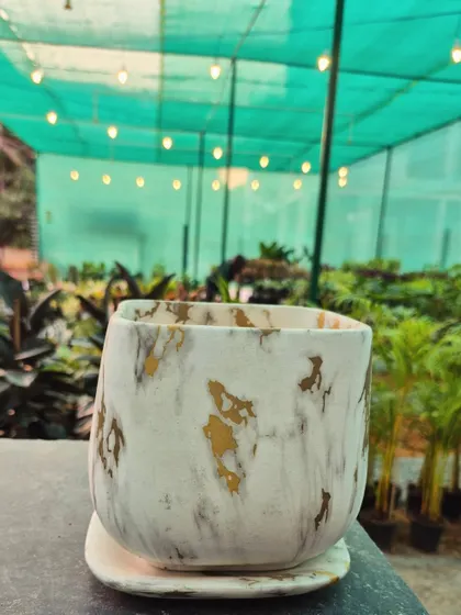 Add a touch of luxury with this white and gold marble-finished pot. The striking pattern makes it a decorative piece in its own right, perfect for showcasing a special plant.